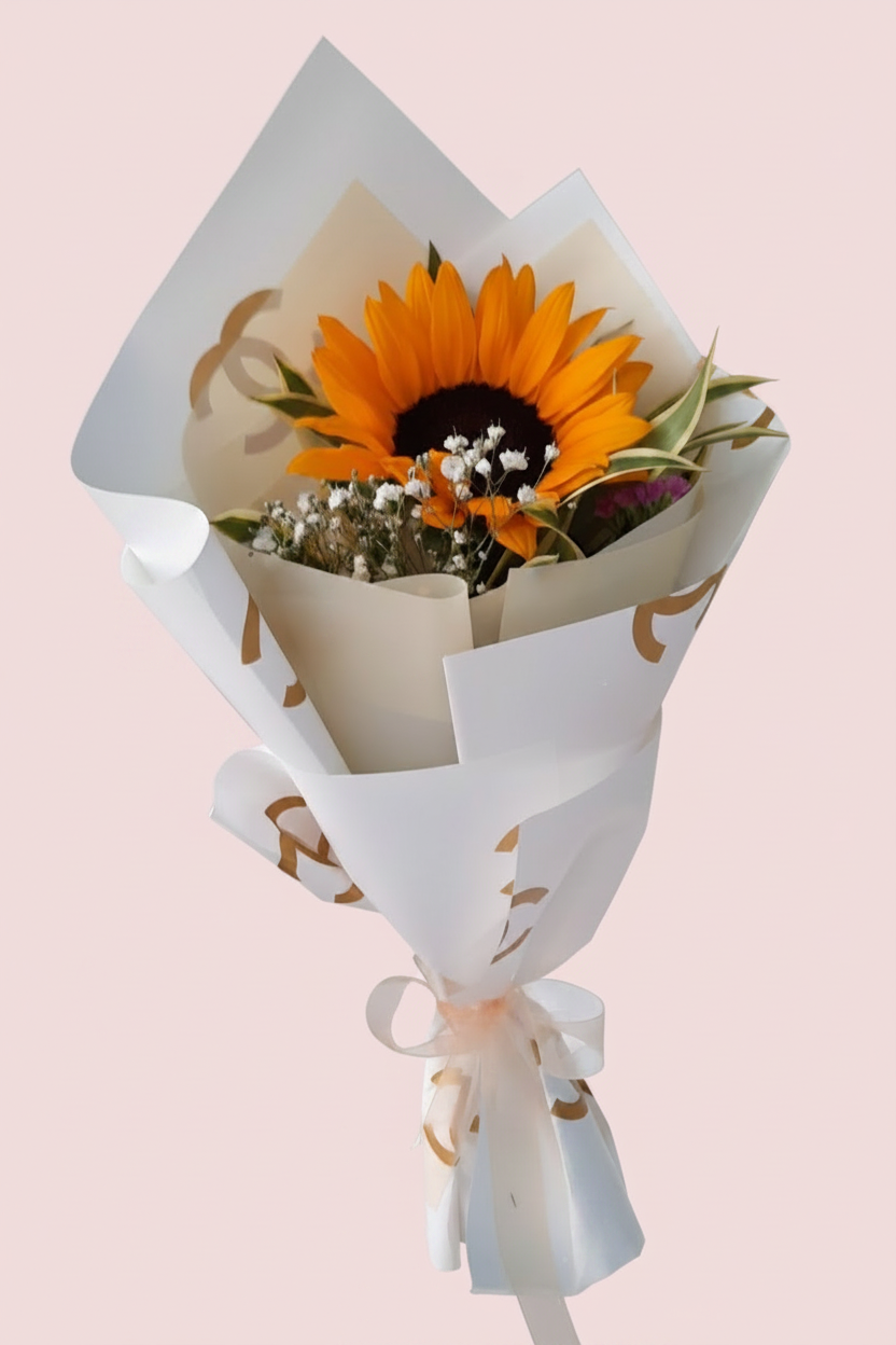Boutique Girasol con fondo rosado